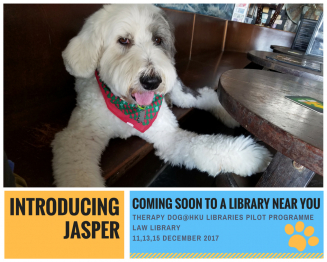 港大圖書館首推駐館治療犬計劃 為香港大專首創 紓解學生壓力