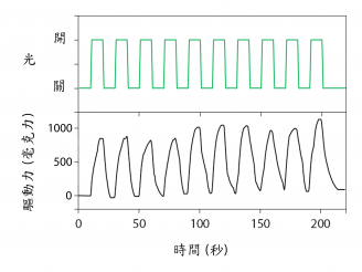 圖 1 重量為0.3毫克的「氫氧化鎳」驅動器,在間歇光照射下可以使出逾約1000毫克的驅動力。