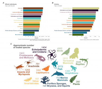 Image 2: This graphic illustrates data from LEMIS on wildlife in trade in the United States, showing the number of individuals traded for each animal group. Image adapted from the journal paper The magnitude of legal wildlife trade and implications for species survival (PNAS, 2025).