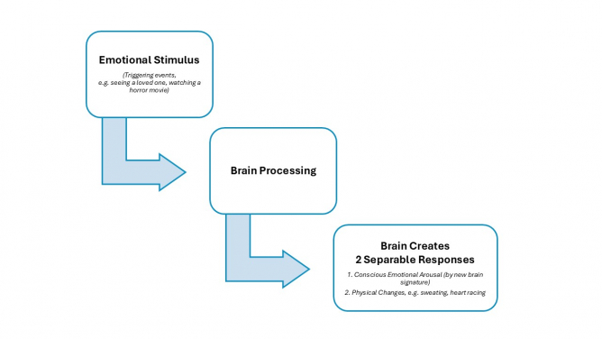 HKU psychology research reveals how the brain constructs emotional experiences