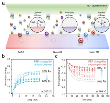 Dual charge carriers in ionomer-solid contact electrification.

a) Schematic illustration of charge carriers in ionomers and non-ionic polymer in contact with FEP counter material; electron, anion, and material fragments (cationic polymer, FAA-3), electron and material fragments (non-ionic polymer, nylon 66), and electron, cation, material fragments (anionic polymer, Nafion 211). b),c) Surface charge retention on FEP contacted with anionic (b) and cationic (c) polymers as a function of time after thermionic emission at 200 and 160 °C, respectively. Each sample was exposed to differing relative humidities in contact electrification.