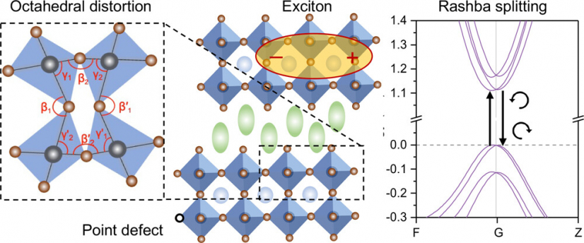 This research uncovered the basic relationship between crystal distortion and light emission properties of two-dimensional (2D) hybrid perovskites. Firstly, octahedral distortion lowers the formation energy of iodine vacancies which can act as nonradiative recombination centres, thereby reducing photoluminescence efficiency. Secondly, the local symmetry breaking caused by such distortion also affects the electronic band structure. In particular, it was revealed that DJ-phase crystals based on the organic cation 4-(aminomethyl) pyridinium (4AMP) exhibit the most pronounced octahedral distortion, resulting in structural inversion asymmetry and significant Rashba band splitting at room temperature.
