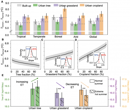 HKU Geography Research Reveals the “Warming Paradox” of Urban Greenery